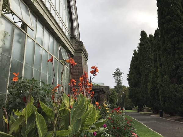 Auckland: 5 Free Things To Do: photo 3