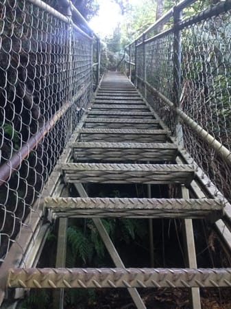 The Blue Mountains: Easy walks near Katoomba: photo 3