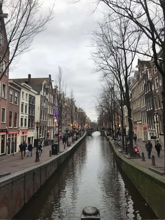 One more weekend in Amsterdam: photo 14