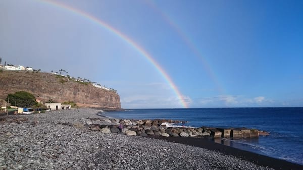 Sunny Side Up: An Insider's Guide to La Gomera's South: photo 4