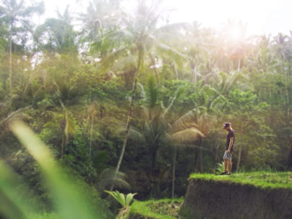 Ubud, Bali - Paradise at The Foothills of Gianyar: photo 3