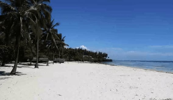 Must visit beaches in Mombasa: photo 5