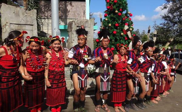 Welcome to Nagaland's Hornbill Festival: photo 11