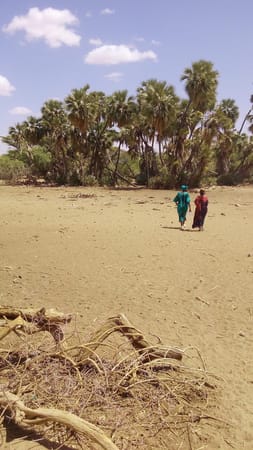 Lake Turkana - The wonder of a desert: photo 5