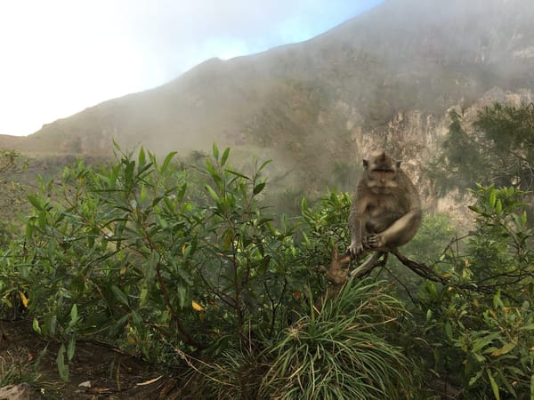 A must-do adventure trip: sunrise trekking at Mt. Batur: photo 4