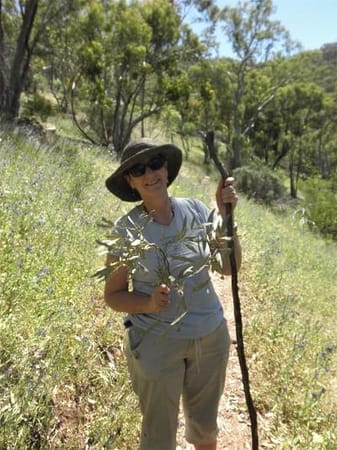 Flinders Ranges: Ancient earth and fascinating wildlife: photo 8