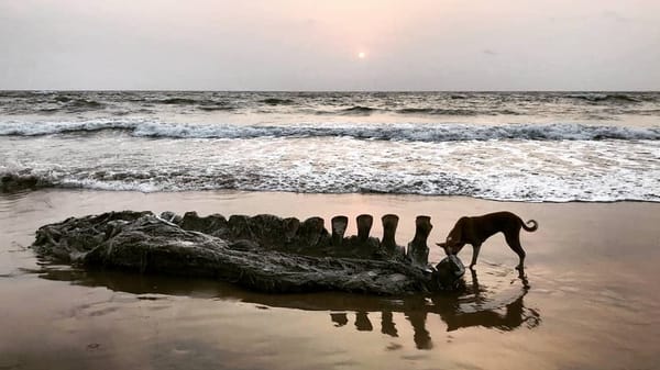 A Three-Day Trip to Gokarna: Things you Shouldn’t Miss Out: photo 6