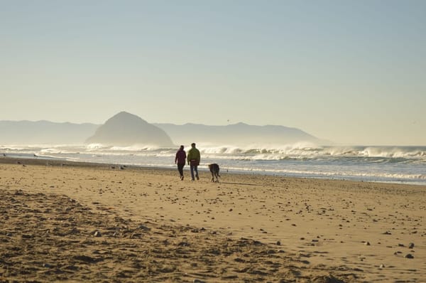 Winter in San Francisco: photo 1