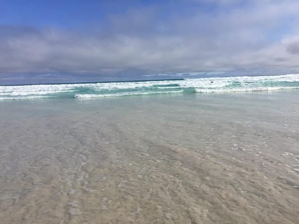Backpacking through Islands:The Galapagos Islands: photo 4