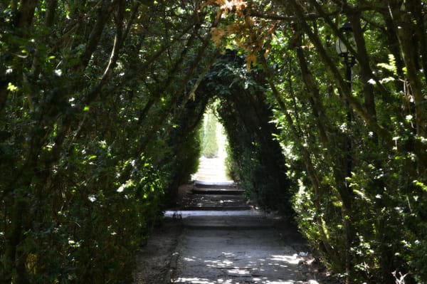 Balchik: Bulgaria: - the begining of an everlasting adventure: photo 16