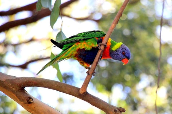 Day trips from Sydney: Kamay Botany Bay National Park: photo 1