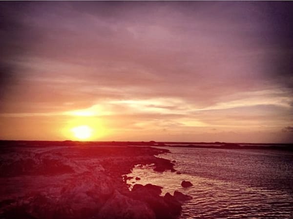 Bonaire: The B in the ABC of the Caribbean: photo 8
