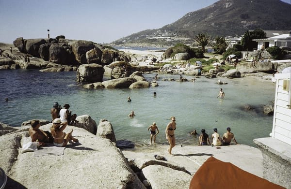 Top activities when exploring Cape Town,South Africa: photo 4