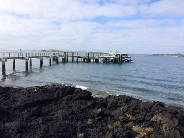 Live a year in New Zealand: photo 4