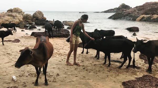 A Three-Day Trip to Gokarna: Things you Shouldn’t Miss Out: photo 9