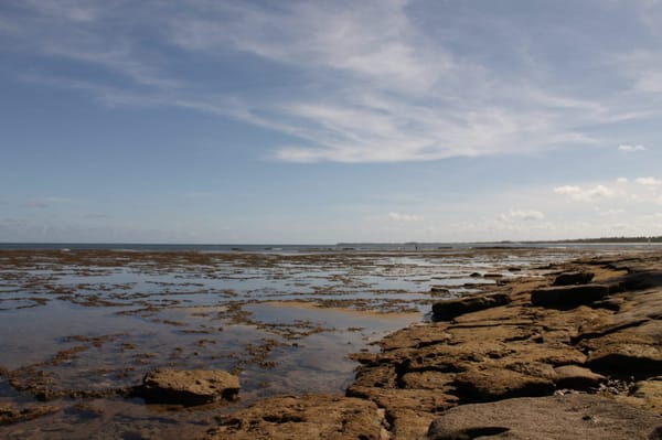 A practical guide to visiting Praia do Forte, Bahia: photo 1