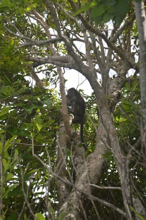 El Nido: An Adventure to Remember: photo 10