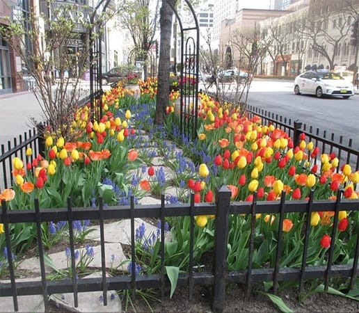Chicago: The Magnificent Mile: photo 7