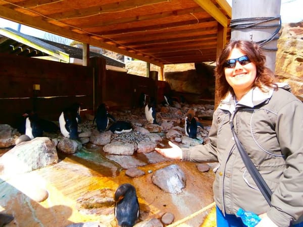 The Best Of English Torquay: photo 7