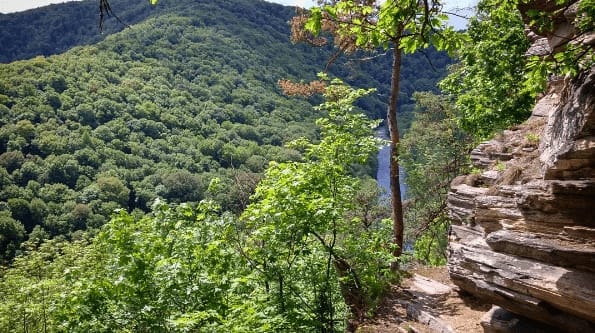 Vranov nad Dyjí - A hidden hub of activity in South Moravia: photo 4