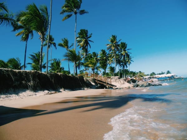What To See in Salvador, Brazil: photo 9