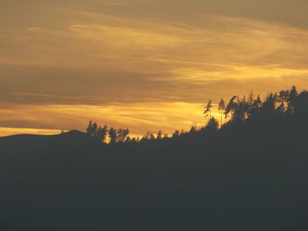 A visual journey of the French countryside: Valley of Munster: photo 20