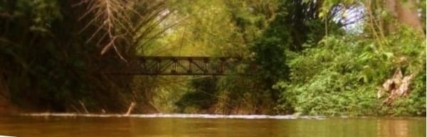 Chuao: a stunning place with denomination of origin cocoa: photo 11