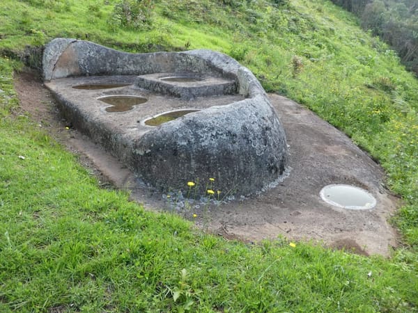 Cloud Forests of Udima, Peru; Escape the Gringo Trial: photo 8