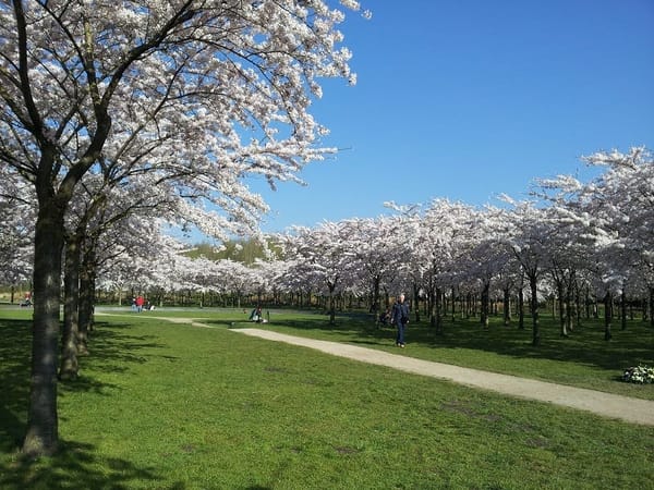 Amsterdam: Amazing Travel Destination: photo 8