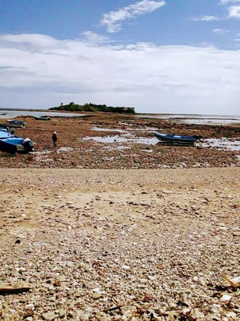 Montezuma: Beaches, waterfalls and a lot to do.: photo 2