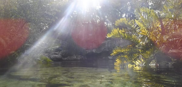 MÉXICO :THE PORTALS TO AN UNKNOWN PARADISE CALLED CENOTES: photo 5