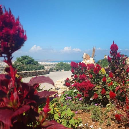 Malta - 4 Locations for a Perfect Walk: photo 7