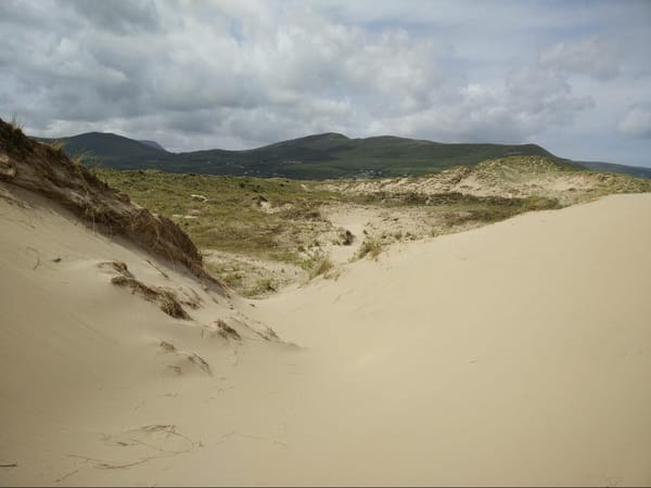 Ireland - A Different Experience at Inch Beach: photo 5