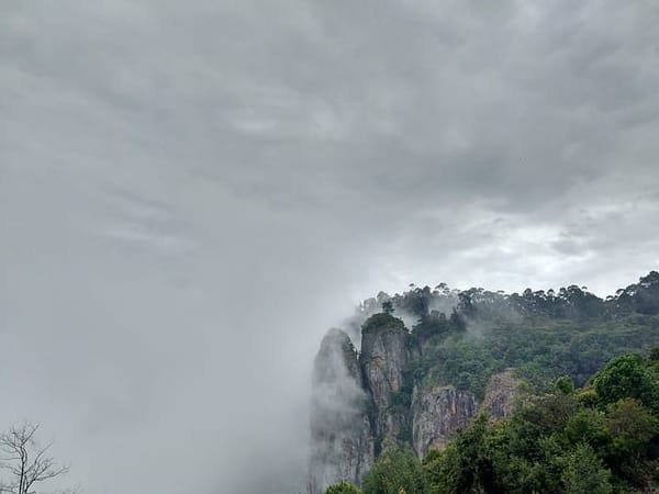 Princess of Hill Stations: Kodaikanal: photo 1