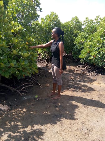 Staying safe on a mangrove site visit in Junda.: photo 1