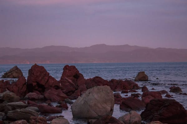 Wellington, New Zealand. Things to do that are free: photo 9