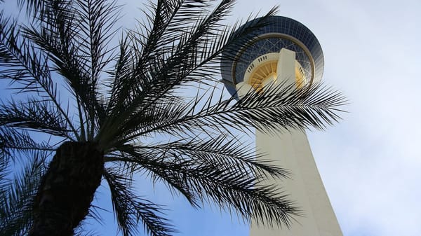Staying Cool in the Vegas Summer: photo 1