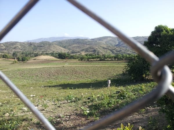 Dominican Republic: The Perfect Holiday Destination: photo 1