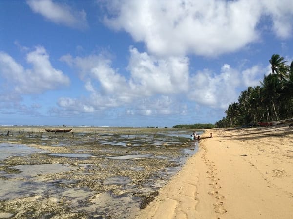 Travel to Sorsogon: Places to Go and Delicacies to Try: photo 4