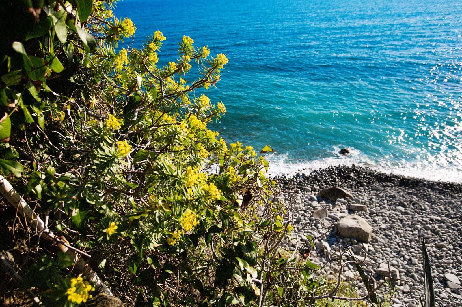 Tramonti di Campiglia - Off the beaten tracks of Cinque Terre
