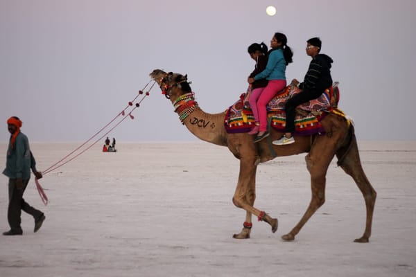 The White Desert : Rann of Kutch: photo 12