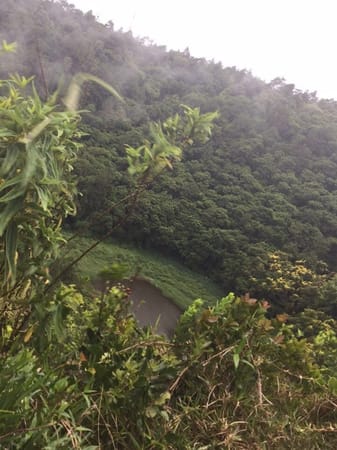 7 Places to Visit in Mauritius if you love Nature: photo 5