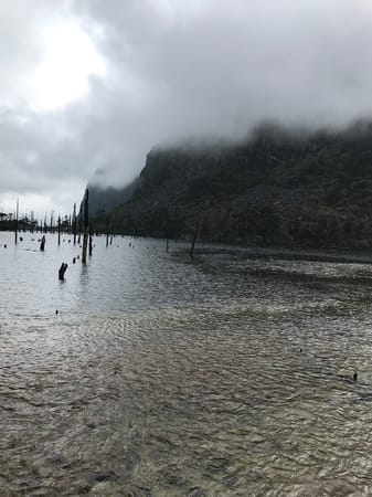 A wanderer’s guide on a Road Trip to Tawang: photo 16