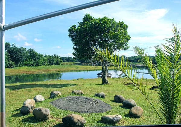 BLOC Camp Site: Laguna’s Hidden Getaway Spot: photo 8