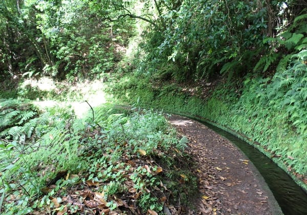 Madeira Island: What to do in this Portuguese paradise: photo 3
