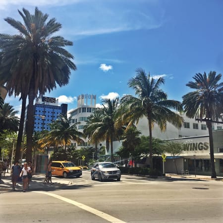 Miami Vice: One of the best cities!: photo 3