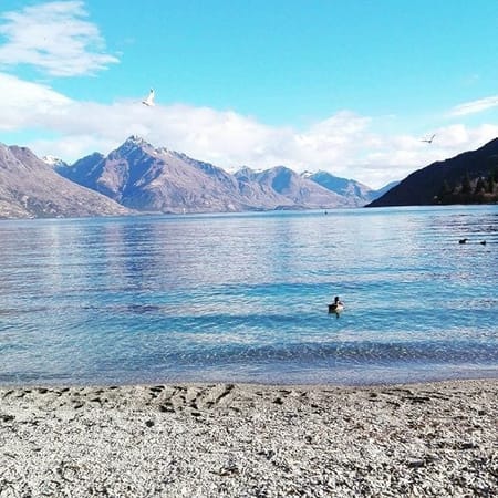 One Year in Queenstown New Zealand: photo 13