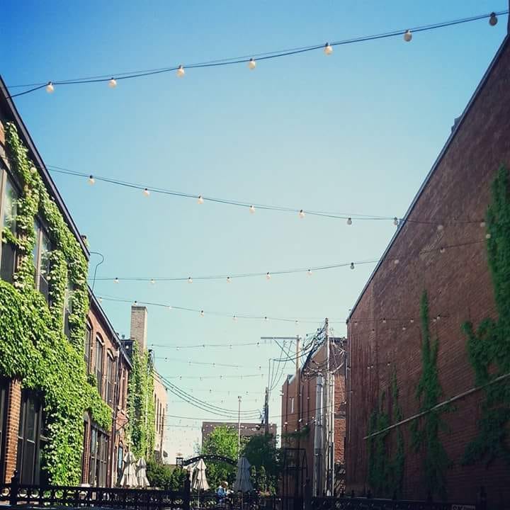 Free Things To Do in Champaign-Urbana