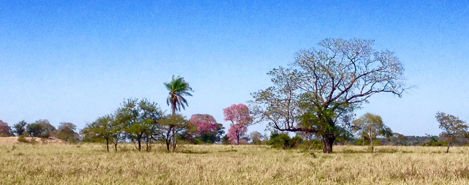 Bonito, Mato Grosso do Sul: 4 days of a road trip in Brazil