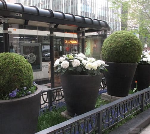 Chicago: The Magnificent Mile: photo 6